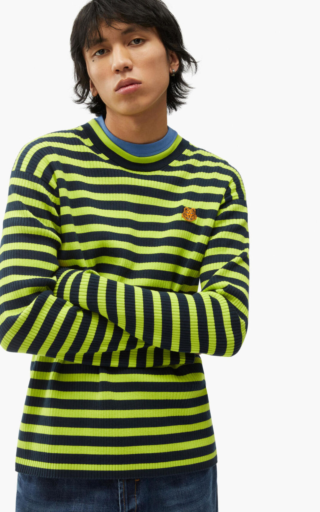 Suéter Kenzo Striped Tiger Crest Masculino - Luz Verdes | 243CAWZBV